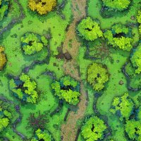 Forest-Path-Vol7-Gridded-26x39-MapPublic2.jpg