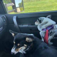 IMG_0127.jpeg