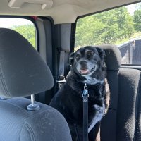 IMG_0128.jpeg