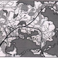 Migrations2.jpg