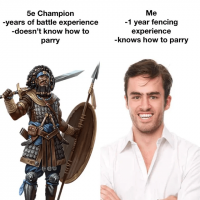5e-champion-years-battle-experience-doesnt-know-parry-1-year-fencing-experience-knows-parry.png