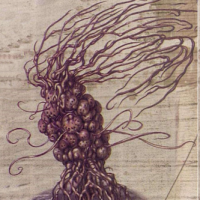 1719328946326.png