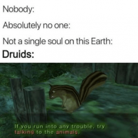 absolutely-no-one-not-single-soul-on-this-earth-druids-if-run-into-any-trouble-try-talking-ani...png