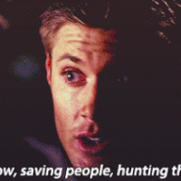 Saving people hunting things.gif