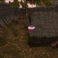 T142.png