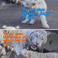 1720060645036.png