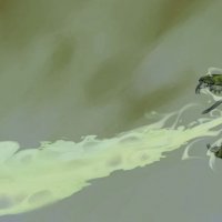 Green_2024_concept3.JPG