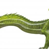 Green_2024_concept2.JPG