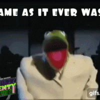 Kermit Same as it ever was.gif