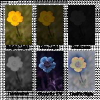 Visions.png