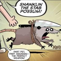 shanklin.jpg
