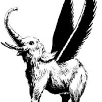 Hollyphant1e.JPG.jpg
