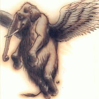 Hollyphant2e.gif