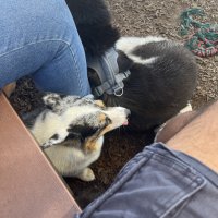 IMG_0251.jpeg