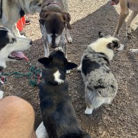 IMG_0244.jpeg