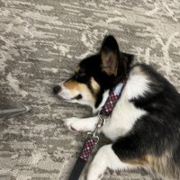 IMG_0213.jpeg
