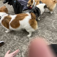 IMG_0197.jpeg