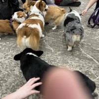IMG_0198.jpeg