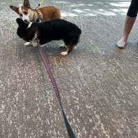 IMG_0161.jpeg