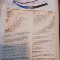 20240710_181454.jpg