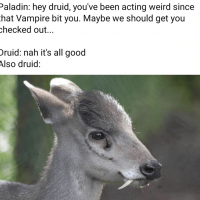 1721949013920.png