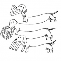 1722811070007.png