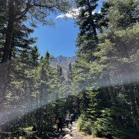 IMG_3884.JPEG