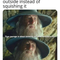 1723177582954.png