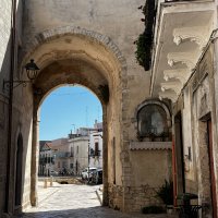 IMG_4023.JPEG