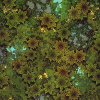 Jungle-Wilderness-Gridded-26x39-MapPublic.jpg