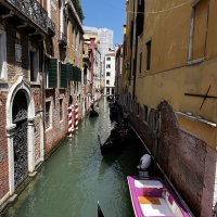 IMG_4184.JPEG