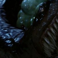 Slicer worm.jpg