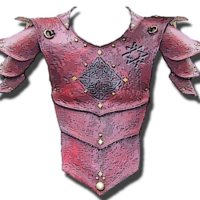 area17rarmor.JPG