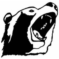 bear.PNG