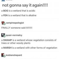 bogswampdef.jpg