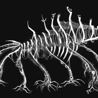 parasite 1.jpeg