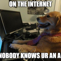 1724857612675.png