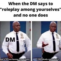 440573017_779135960987302_1717967000003319648_n.jpg