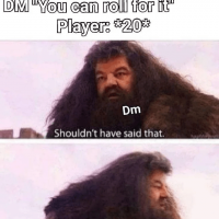dm-can-roll-player-20-dm-shouldnt-have-said-should-not-have-said.png