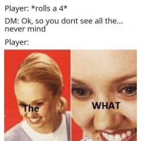 dm-roll-perception-player-rolls-4-dm-ok-so-dont-see-all-never-mind-player.png