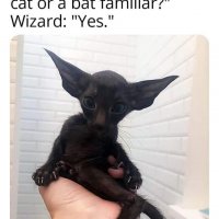 1000003677.jpg