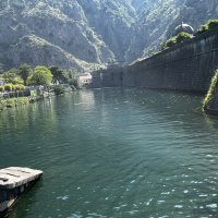 IMG_4391.JPEG
