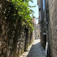 IMG_4430.JPEG