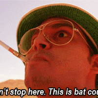 we-cant-stop-here-this-is-bat-country.gif