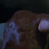 1725684479309.gif