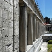 IMG_4481.JPEG