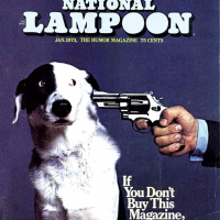 1726254800049.png