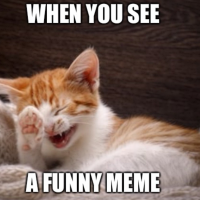 1726530693776.png