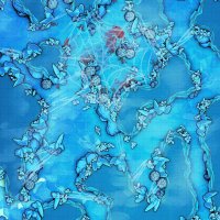 Ice-Spider-Cave-Gridded-26x39-MapPublic.jpg