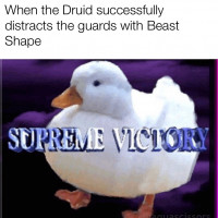 druid-successfully-distracts-guards-with-beast-shape-supreme-victory-aquascissors.png
